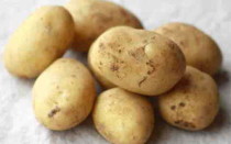Картофель сорт Вымпел: характеристика сорта и отзывы о вкусовых качествах