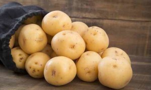 Картофель сорт Вега: характеристика, правила выращивания, отзывы и советы огородников