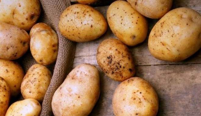 Сорт картофеля Наяда