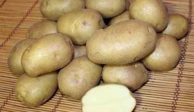 Сбор картофеля Виктория