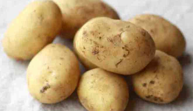 Сорт картофеля Вымпел
