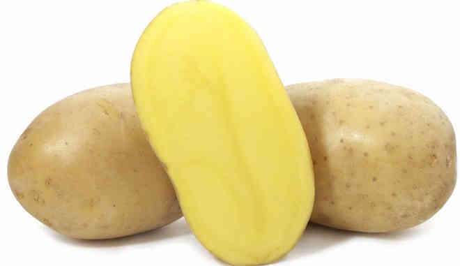 Картофель сорт Вега