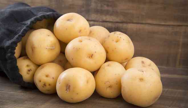 Сорт картофеля Вега