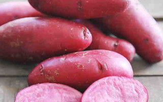 Картофель Сюрприз – выдающийся цветной сорт отечественного производителя с низким содержанием крахмала
