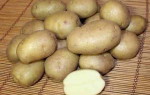 Картофель Виктория – достойный сорт для настоящих овощеводов: характеристика и рекомендации выращивания