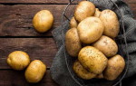 Картофель Прайм: характеристика сорта и вкусовые качества
