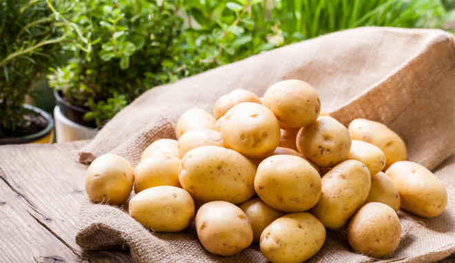 Характеристики картофеля Танай